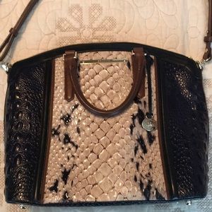 Brahmin tri colored large duxbury.